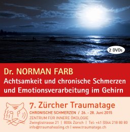 Norman Farb - Achtsamkeit und chronische Schmerzen, Emotionsverarbeitung im Gehirn